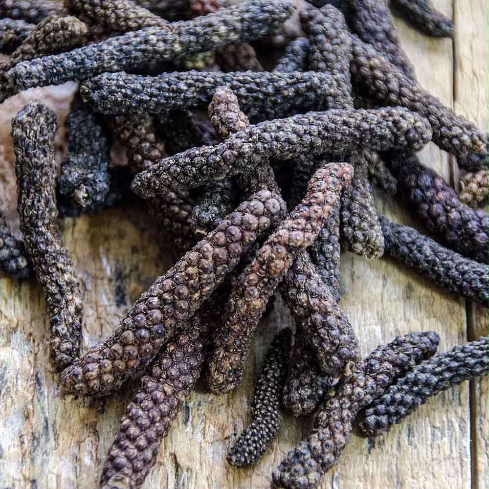 Long Pepper (pippali)