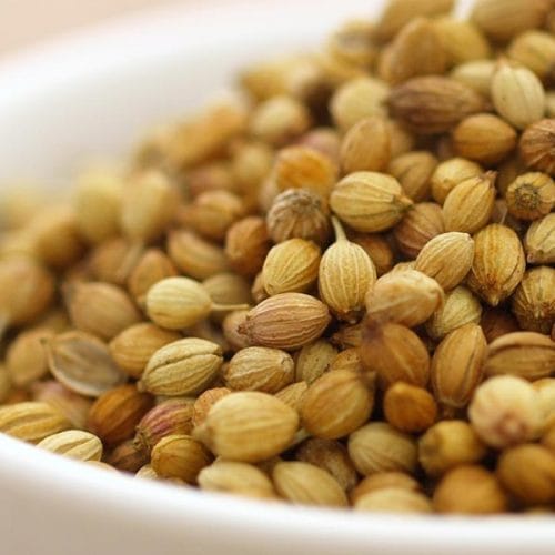 Coriander